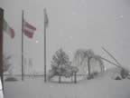 Le bandiere delle Macinaie sotto la nevicata (10kb)